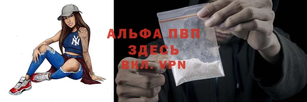 спиды Лабытнанги