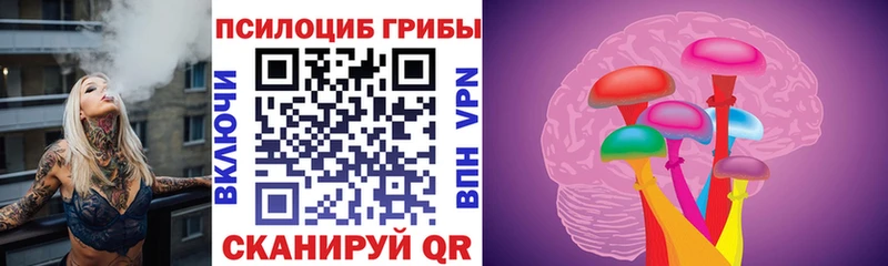 мега ссылка  Змеиногорск  Псилоцибиновые грибы Magic Shrooms 